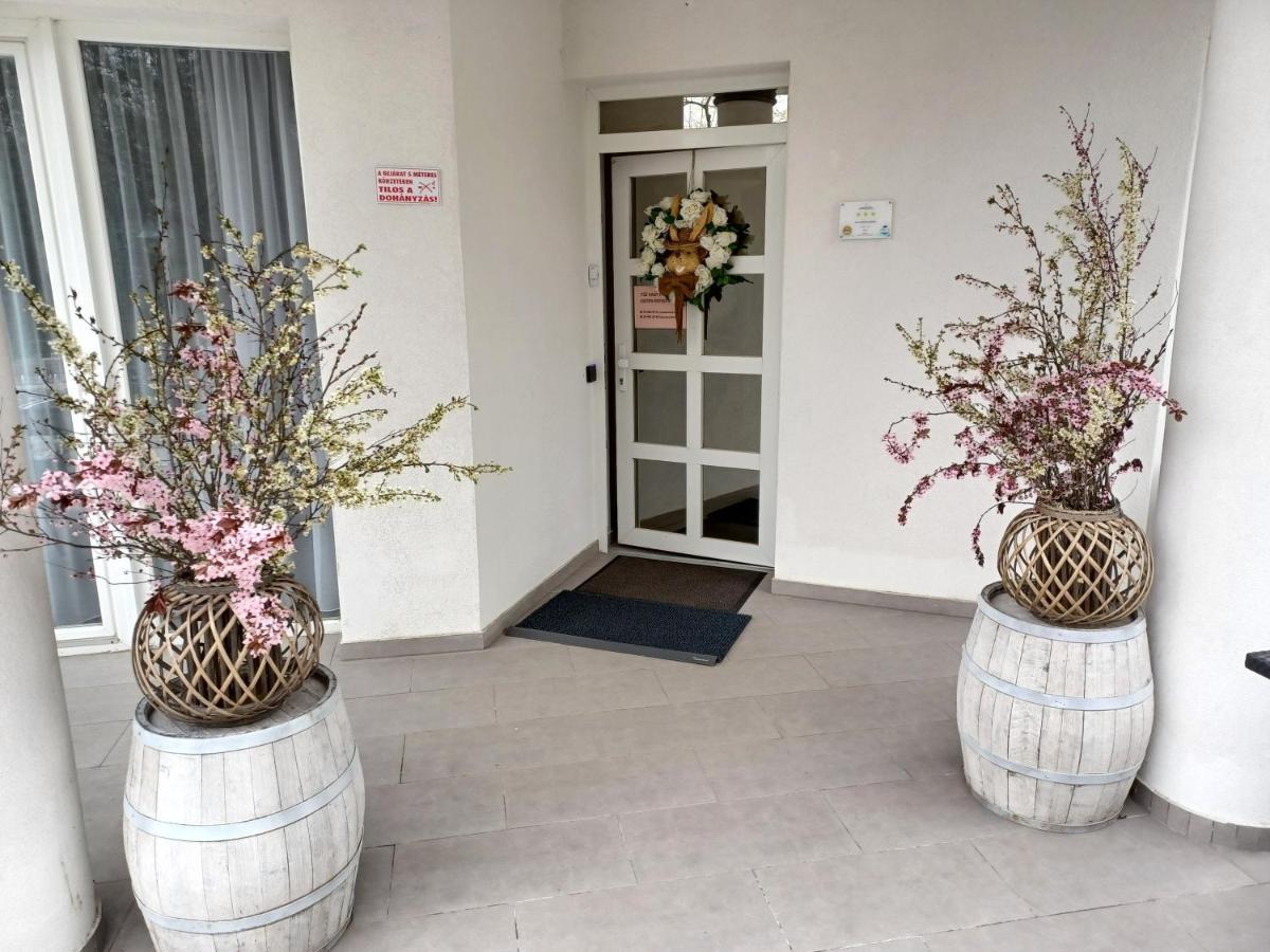 Villa Rose Garden Nyiregyhaza Bagian luar foto
